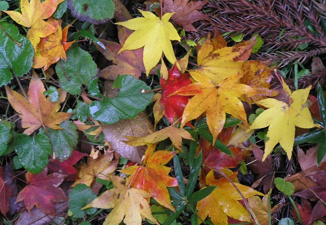 Autumn — Golden light & harvest tables